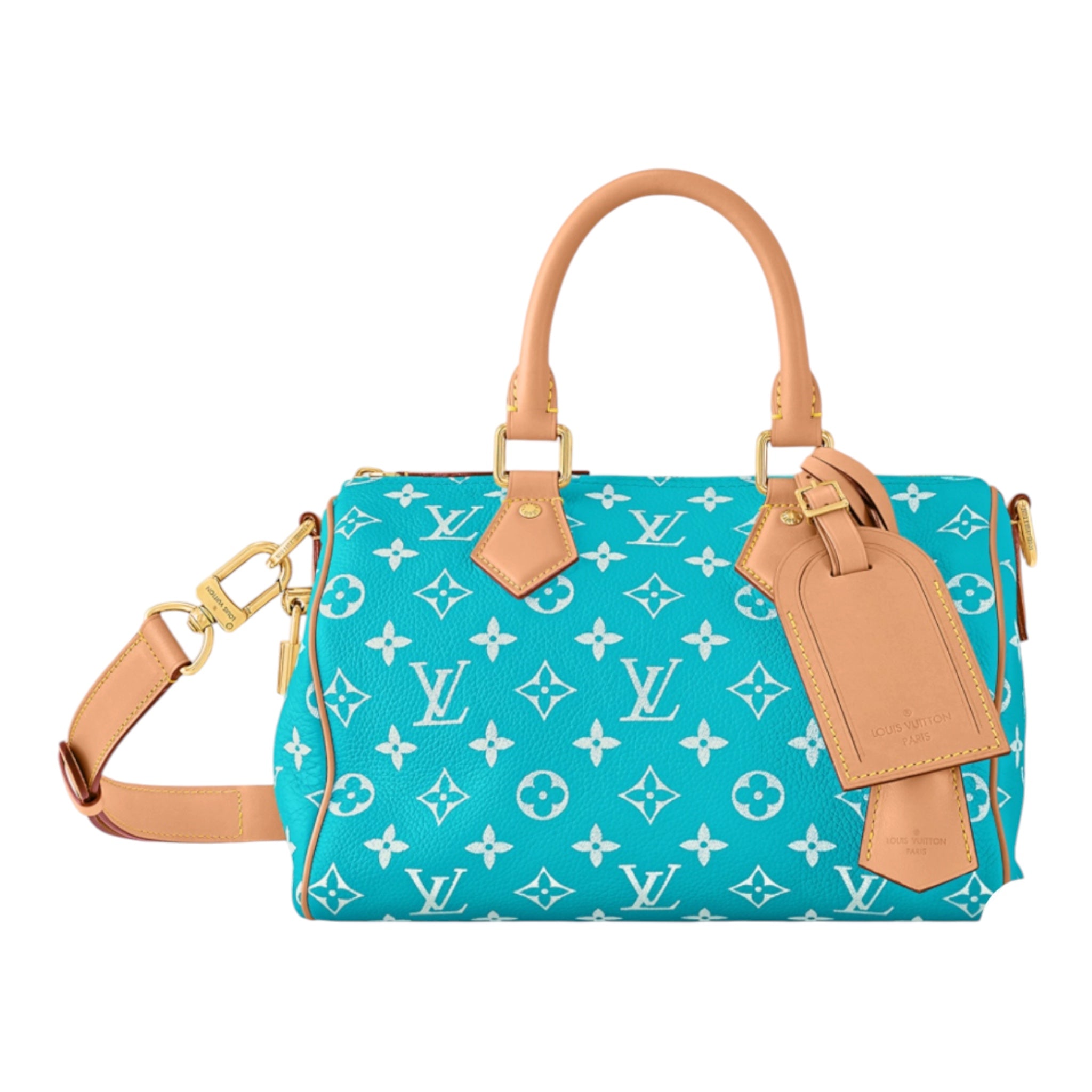 Speedy P9 Bandouliere 25 Handbag