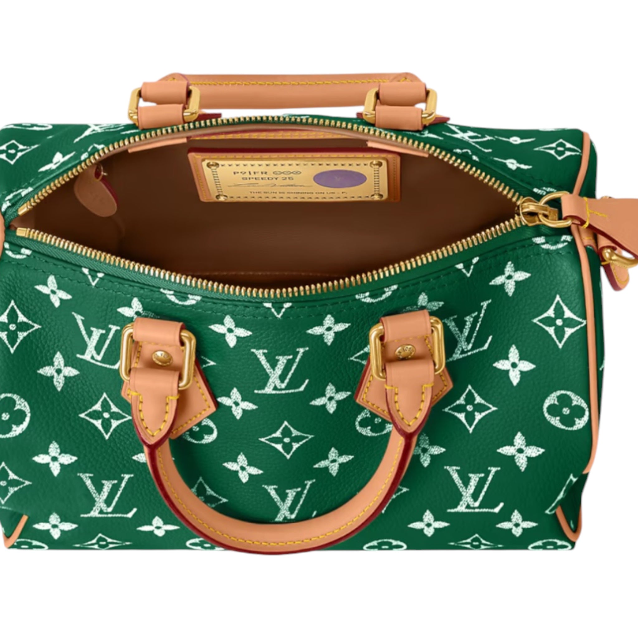 Speedy P9 Bandouliere 30 Handbag