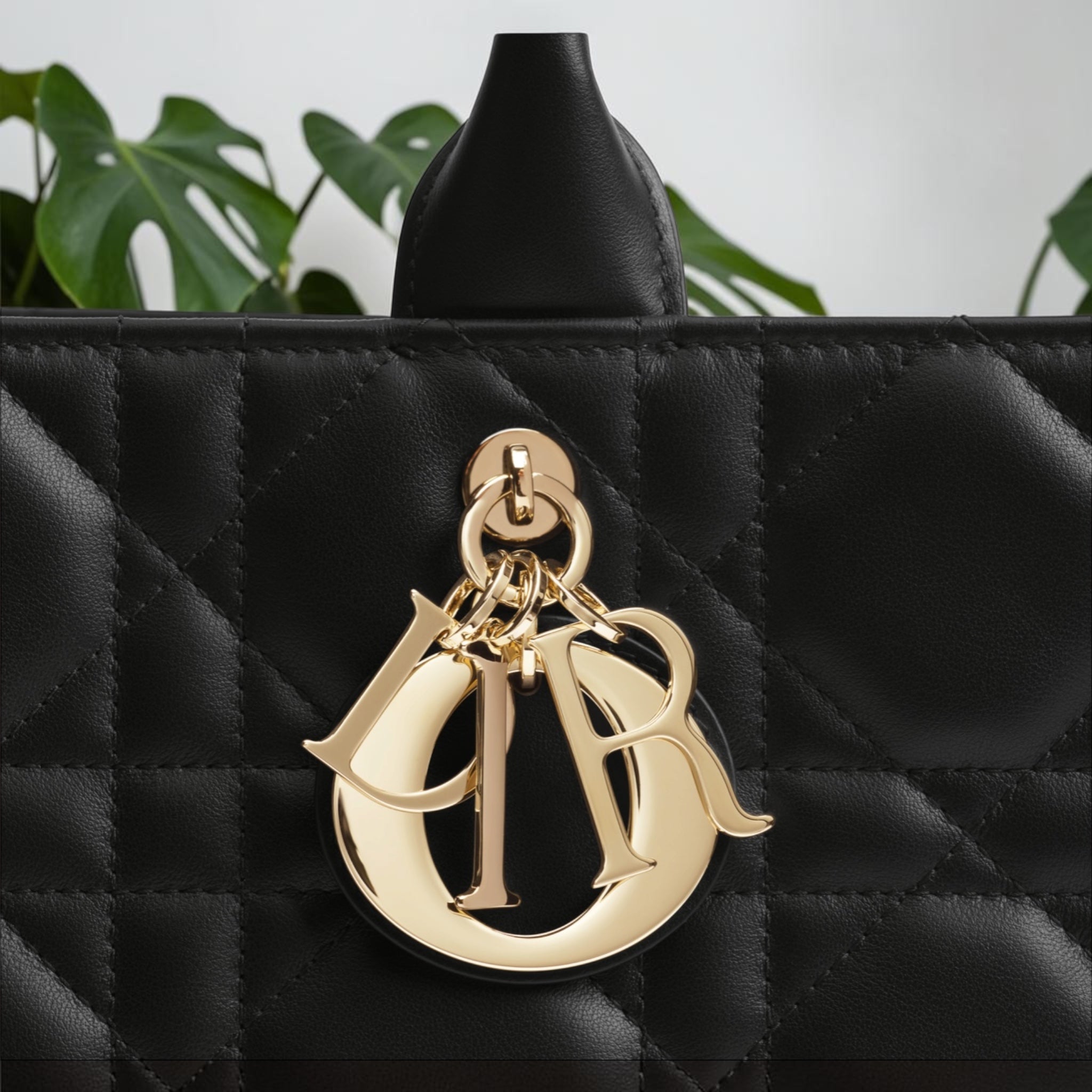 Medium Dior Book Tote Black Calfskin Handbag